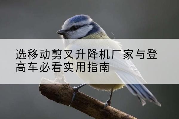 滦南电动升降机厂家-选移动剪叉升降机厂家与登高车必看实用指南