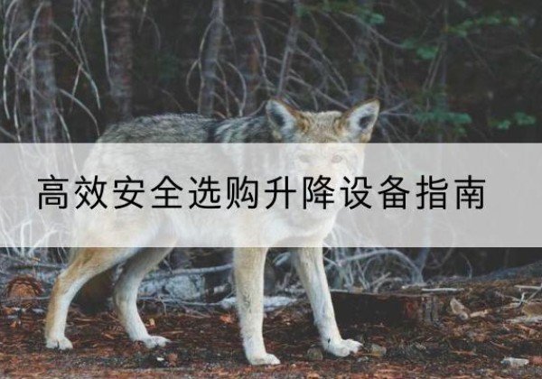滦南升降货梯厂家推荐-*安全选购升降设备指南
